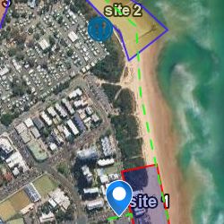 cotton tree